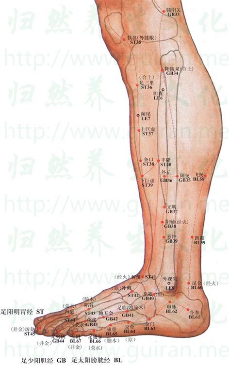 飛揚穴位置|「穴位密碼」飛揚